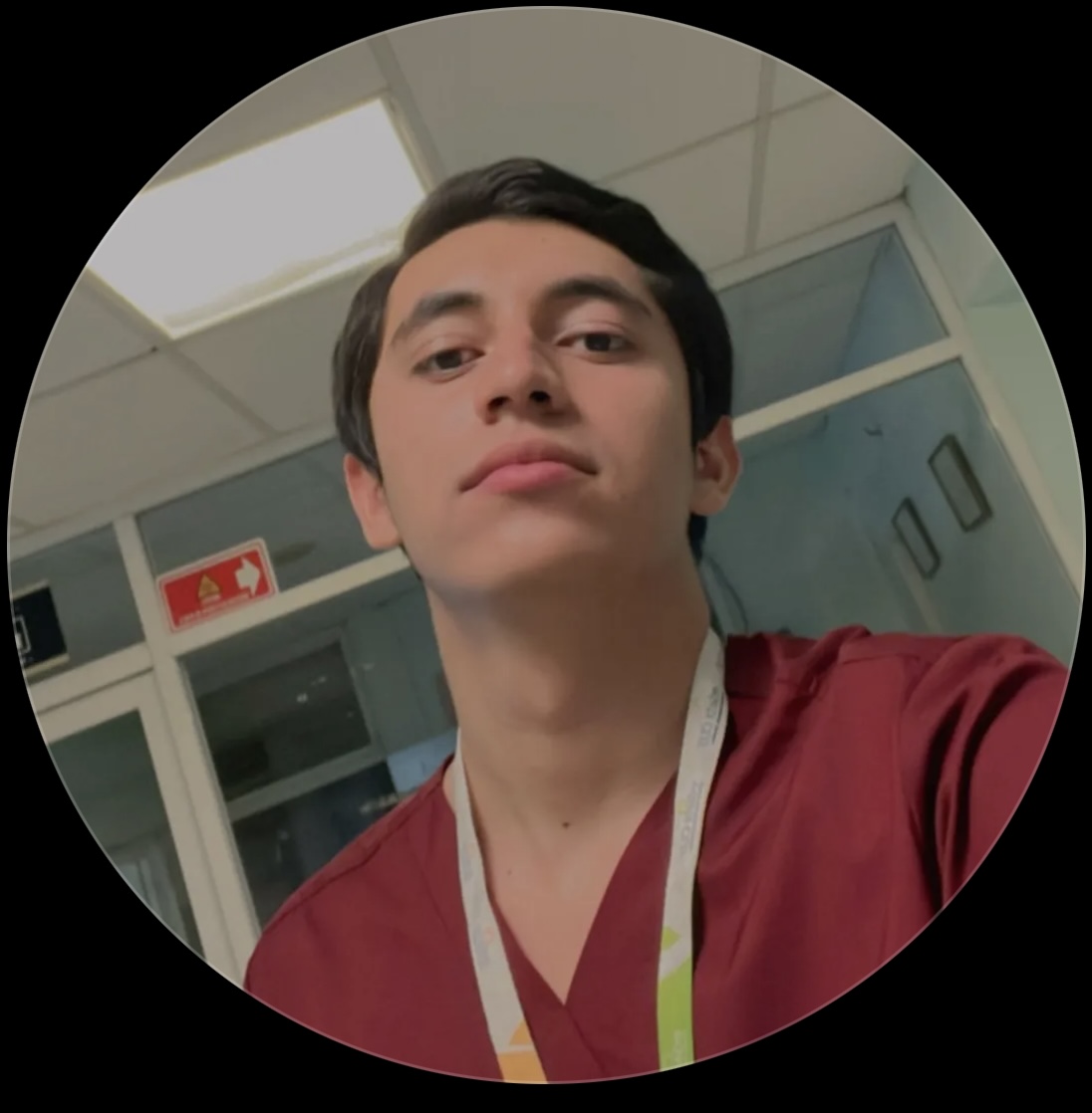 Moises